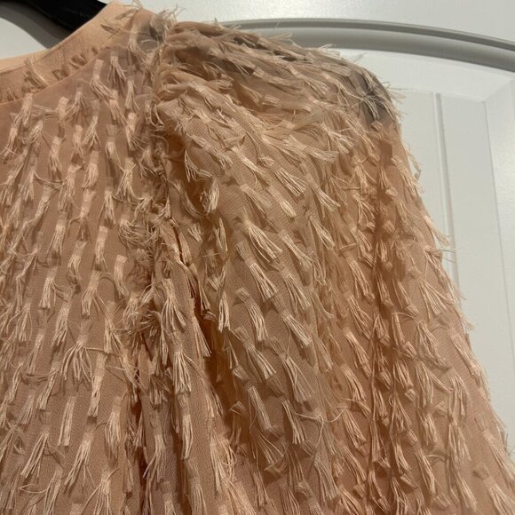 Zara Salmon Pink Balloon Sleeve Feather Blouse Women’s Size S - Picture 3 of 7